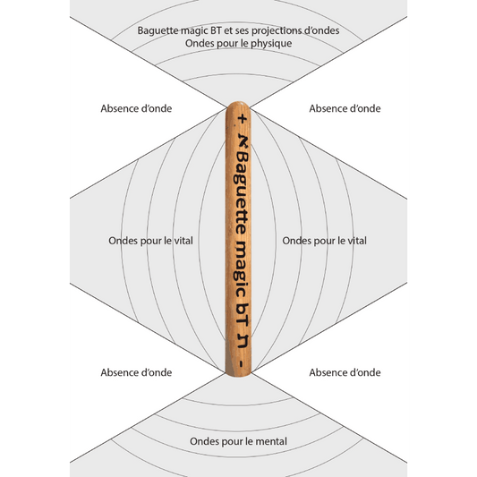 La baguette Magic B T