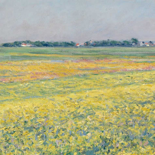 Harmonisation géobiologique d'une exploitation agricole