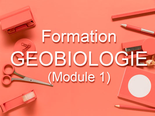 Formation Géobiologie (Module 1)