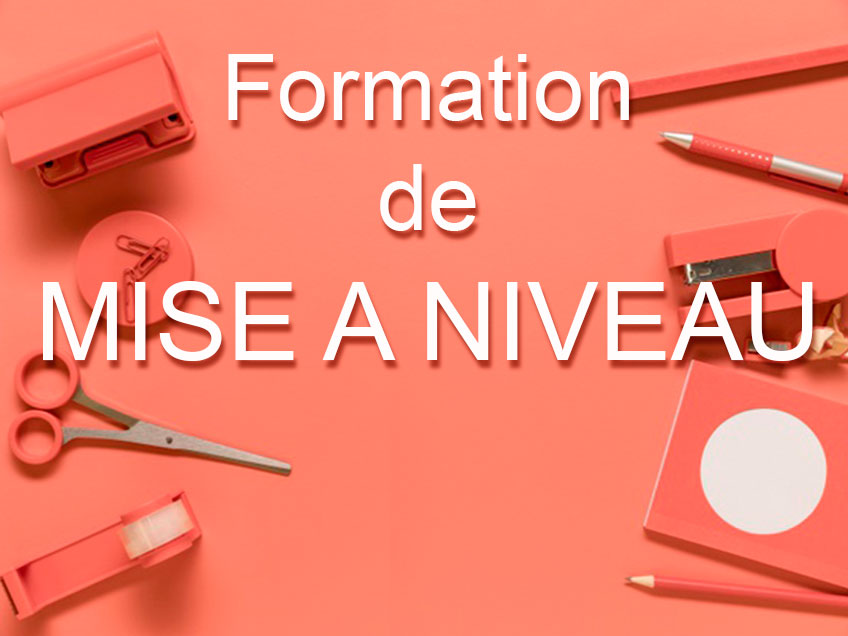 Formation (mise à niveau annuelle)