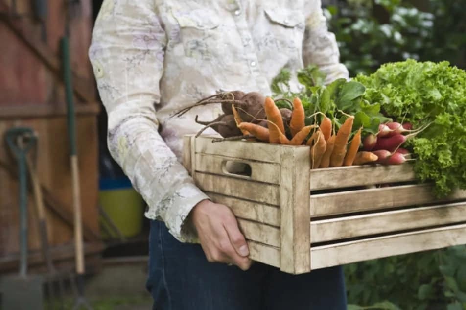 Alimentation simple
