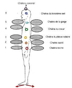 Les entités