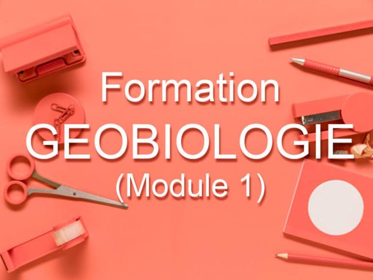 Formation Géobiologie (Module 1)
